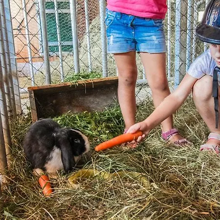 Farma Pfefferbauer